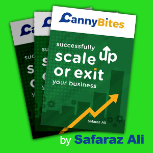 Successfully Scale up or Grow your business